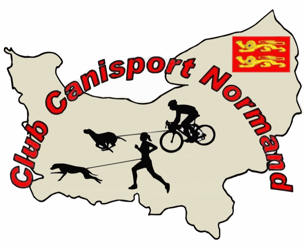 Canicross Du Bois Du Roule Darnetal 2026